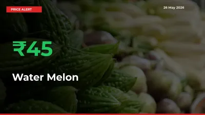 Sudden 44.77% Rally in Water Melon Prices Across Mandis