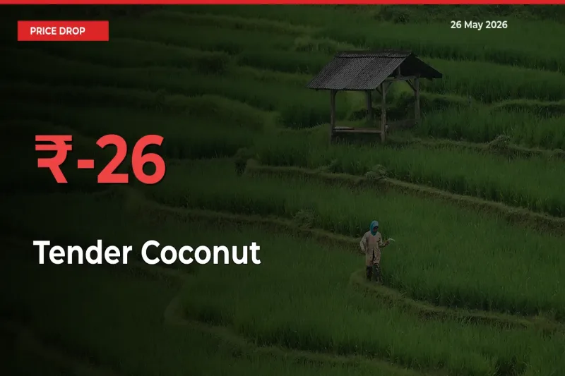 Tender Coconut Prices Drop 25.68% – May 26 Market Update from Mandis
