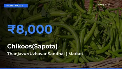 Market Watch: Thanjavur(Uzhavar Sandhai ) Becomes Top Mandi for Chikoos(Sapota)