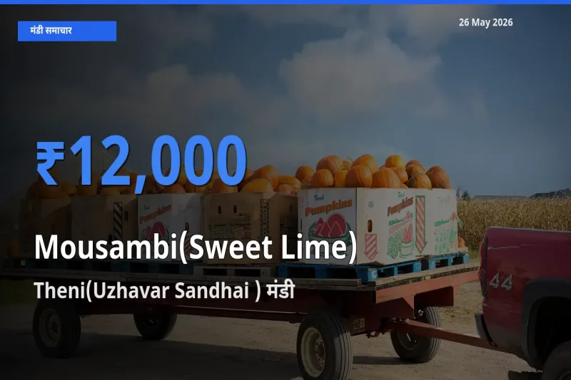 टॉप मंडी बना Theni(Uzhavar Sandhai )! मौसंबी के सबसे ऊँचे दाम यहीं दर्ज
