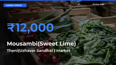Theni(Uzhavar Sandhai ) Tops Mousambi(Sweet Lime) Mandi Rates Today
