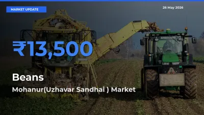 Mohanur(Uzhavar Sandhai ) Tops Beans Rates – May 26 Market Update