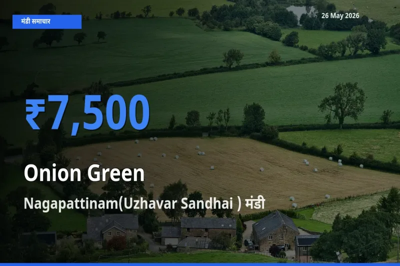 Nagapattinam(Uzhavar Sandhai ) में प्याज हरा का आज सबसे ऊँचा भाव
