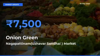Market Watch: Nagapattinam(Uzhavar Sandhai ) Becomes Top Mandi for Onion Green