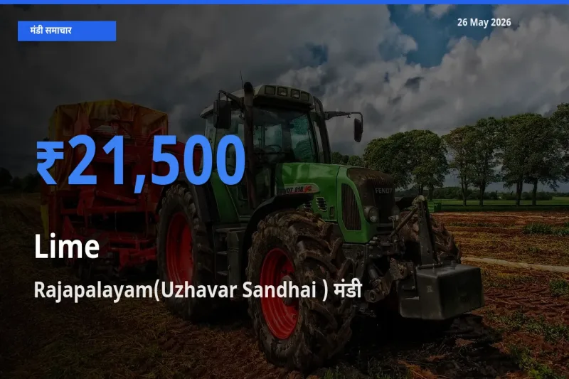 26 May अपडेट: नींबू के सबसे ऊँचे दाम Rajapalayam(Uzhavar Sandhai ) मंडी में