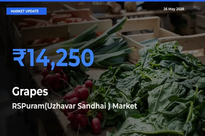 RSPuram(Uzhavar Sandhai ) Emerges as Top Mandi for Grapes Prices Today