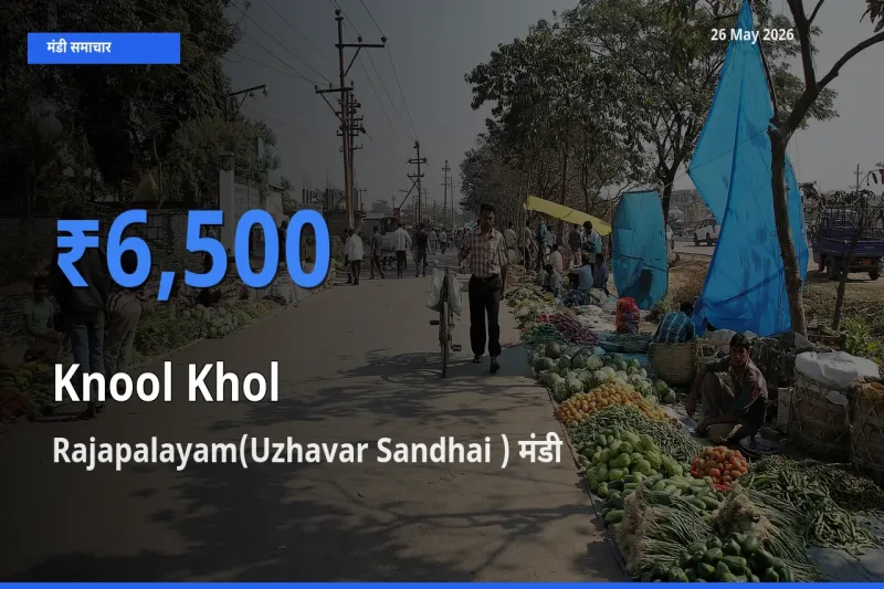 आज गांठगोभी के सबसे ऊँचे दाम ₹6,500 Rajapalayam(Uzhavar Sandhai ) मंडी में