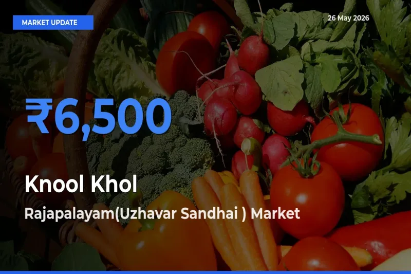 Farmers Prefer Rajapalayam(Uzhavar Sandhai ) as Knool Khol Hits Highest Rate