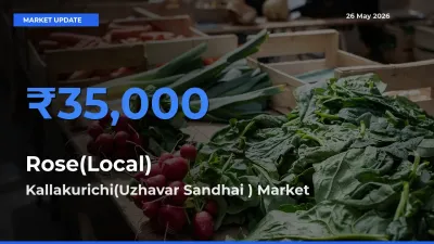 Top Performer! Kallakurichi(Uzhavar Sandhai ) Offers Best Rose(Local) Price Today