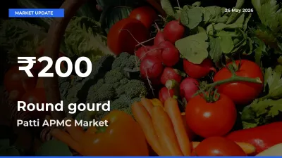 Round gourd Mandi Rate Today: 30-Day Low Recorded in Patti APMC