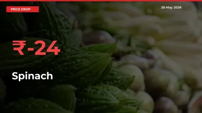 Why Spinach Prices Fell 24.47% in a Day at Mandis