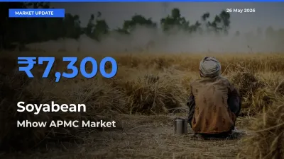 Mhow APMC Tops Soyabean Mandi Rates Today