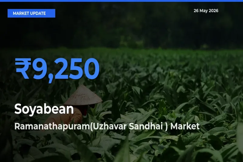Ramanathapuram(Uzhavar Sandhai ) Emerges as Top Mandi for Soyabean Prices Today