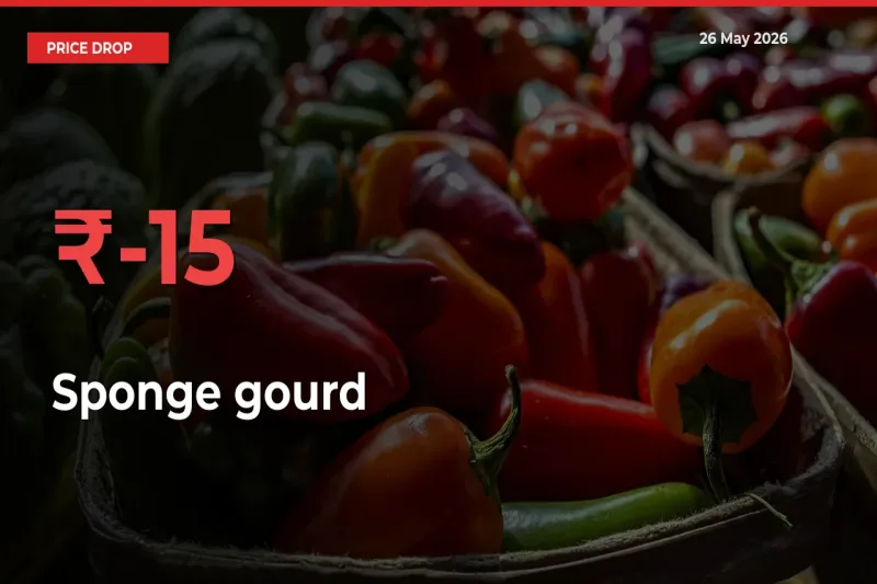 Sudden Shock! Sponge gourd Drops 15.33% in 24 Hours at Top Mandis
