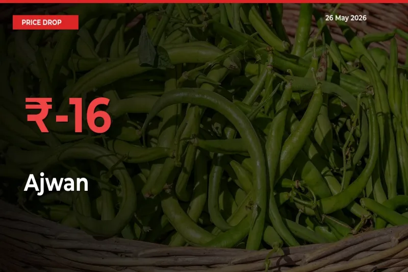 Why Ajwan Prices Fell 16.21% in a Day at Mandis