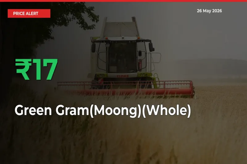 Big Rally! Green Gram(Moong)(Whole) Climbs 16.56% in 24 Hours at Top Mandis
