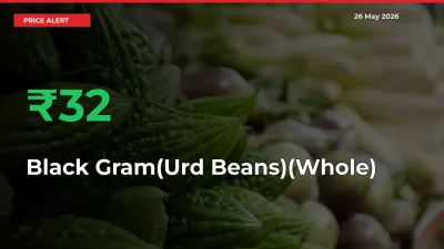 Why Black Gram(Urd Beans)(Whole) Prices Rose 31.91% in a Day at Mandis