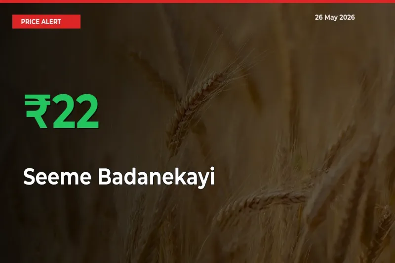 Seeme Badanekayi Prices Rise 22% in a Day at Major Mandis