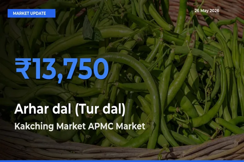 Kakching Market APMC Tops Arhar dal (Tur dal) Rates – May 26 Market Update