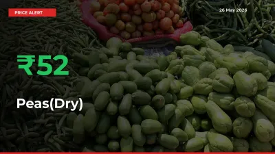 Peas(Dry) Prices Rise 52.31% in a Day at Major Mandis