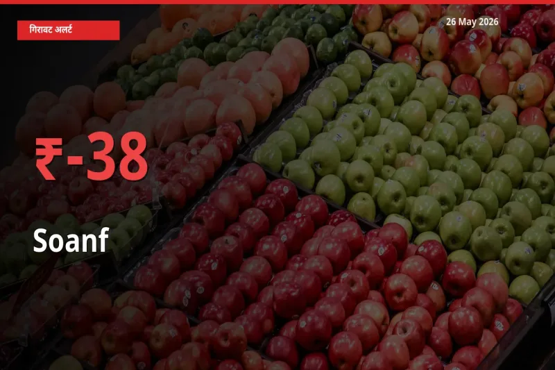 26 May अपडेट: सौंफ के दाम मंडी में 38.03% गिरे