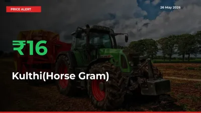 Kulthi(Horse Gram) Mandi Rate Today: Prices Jump 15.74% at Market