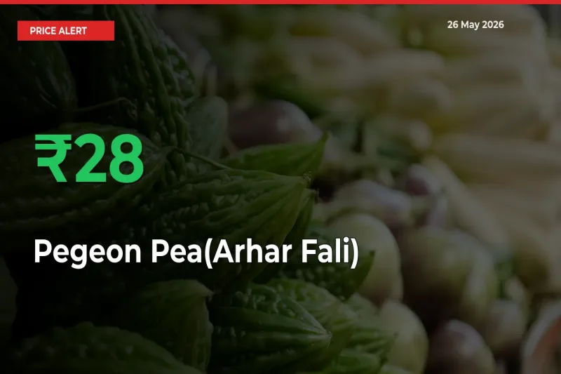 This Mandi Records 27.91% Jump in Pegeon Pea(Arhar Fali) Prices