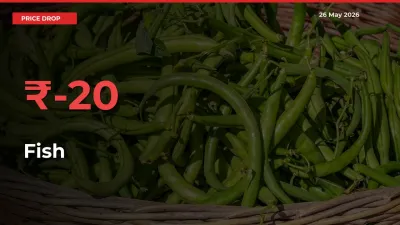 Sudden Shock! Fish Drops 20.1% in 24 Hours at Top Mandis