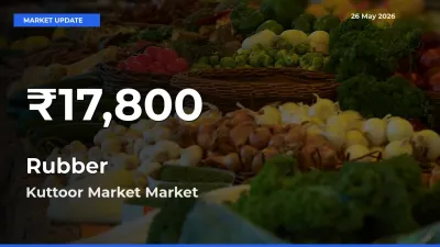 Rubber Falls to ₹17,800 in Kuttoor Market – 30-Day Lowest Rate