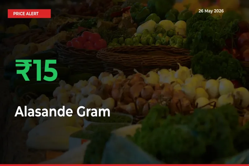 Alasande Gram Prices Rise 15.48% in a Day at Major Mandis