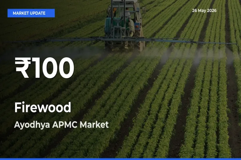 Firewood Hits 30-Day Low in Ayodhya APMC