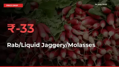 Rab/Liquid Jaggery/Molasses Mandi Rate Today: Prices Fall 33.33% at Market