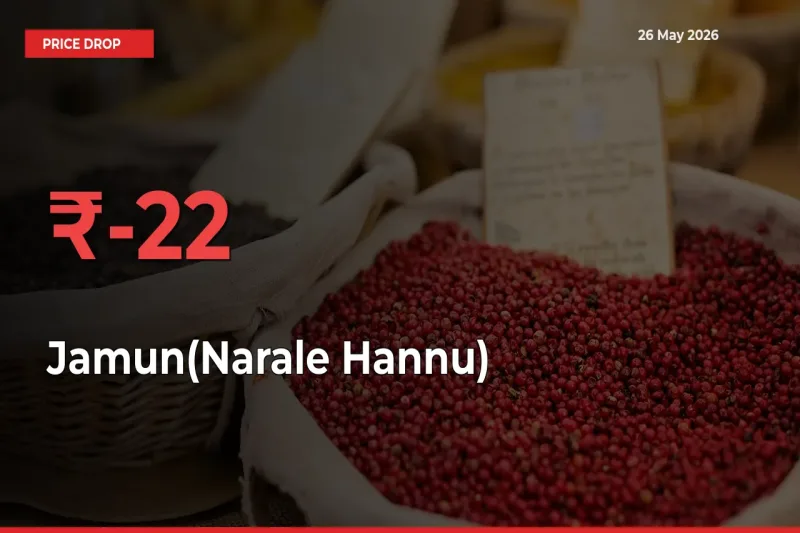 Jamun(Narale Hannu) Falls 21.72% at Mandis