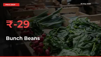 Farmers Alert as Bunch Beans Prices Slide 28.57% in Local Mandis