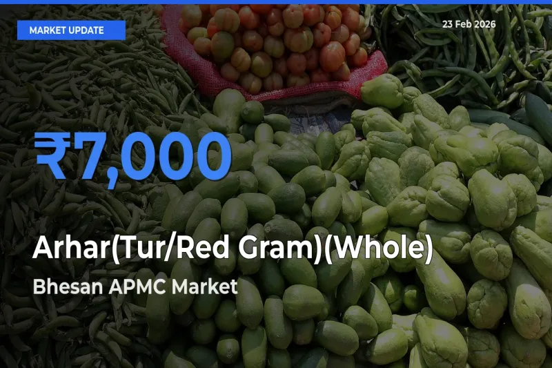 Top Performer! Bhesan APMC Offers Best Arhar(Tur/Red Gram)(Whole) Price Today