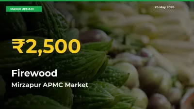 Firewood Price Hits New High in Mirzapur APMC Today – Check Latest Mandi Rates