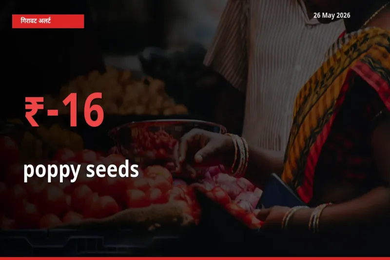 खसखस के दाम प्रमुख मंडी में 15.56% गिरे, 24 घंटे में बड़ा बदलाव