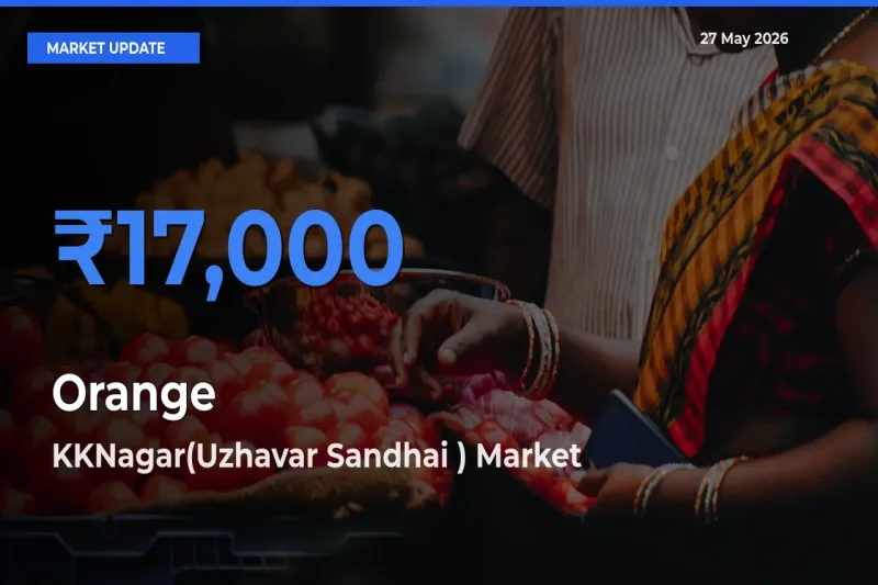 Market Watch: KKNagar(Uzhavar Sandhai ) Becomes Top Mandi for Orange