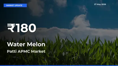Big Drop! Water Melon Slides to 30-Day Low at Patti APMC