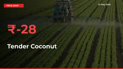 Farmers Alert as Tender Coconut Prices Slide 28.47% in Local Mandis