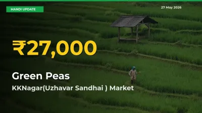 KKNagar(Uzhavar Sandhai ) Leads as Green Peas Hits Highest Rate – May 27 Update