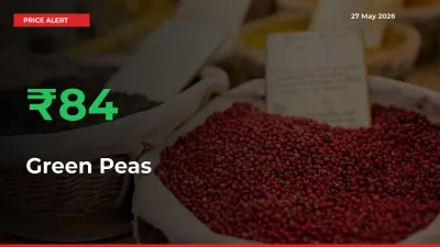 84.49% Spike in Green Peas Prices – Mandi Sees Sudden Rally