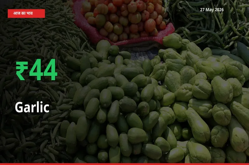 अचानक तेजी! मंडी में लहसुन के दाम 44.1% चढ़े