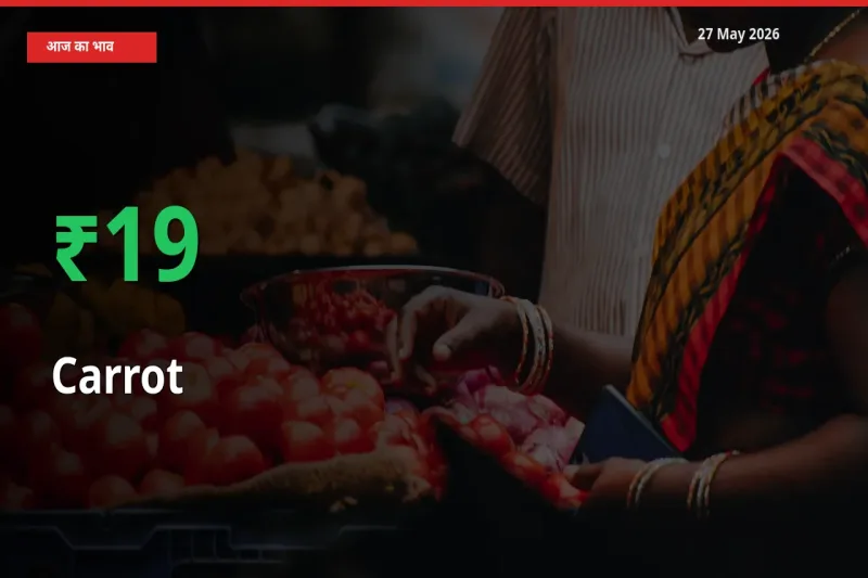 गाजर के दाम प्रमुख मंडी में 18.53% बढ़े, 24 घंटे में बड़ा बदलाव