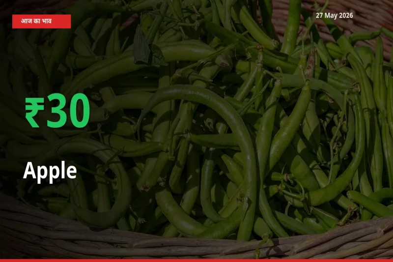 अचानक तेजी! मंडी में सेब के दाम 29.92% चढ़े