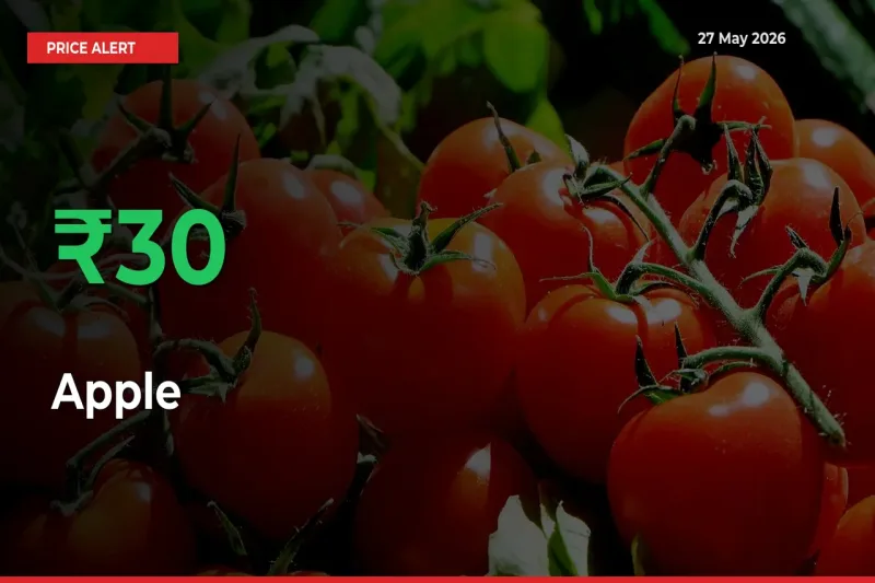 Big Rally! Apple Climbs 29.92% in 24 Hours at Top Mandis