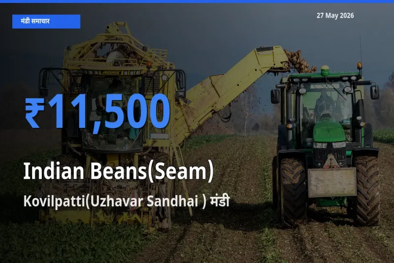 Kovilpatti(Uzhavar Sandhai ) में सेम (देशी) का आज सबसे ऊँचा भाव