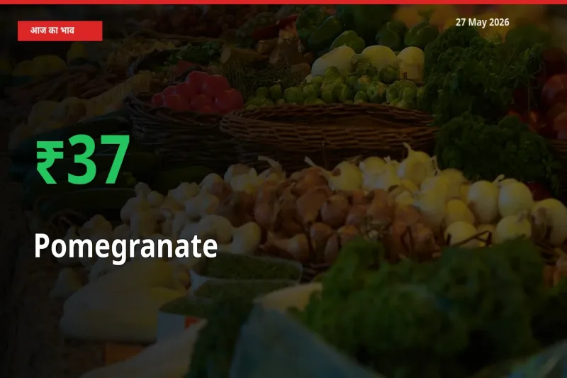 आज का मंडी भाव: अनार के दाम मंडी में 36.68% ऊपर