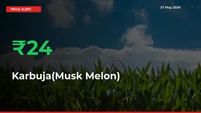 Why Karbuja(Musk Melon) Prices Rose 24.11% in a Day at Mandis