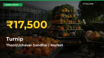 Turnip Price Rally Continues – Theni(Uzhavar Sandhai ) Hits Fresh High Today